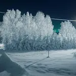 Winterwonderland Privat With Sauna And Big Yard