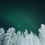 Villa Winterwonderland Privat With Sauna And Big Yard