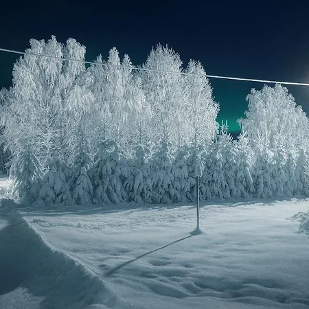 Winterwonderland Privat With Sauna And Big Yard