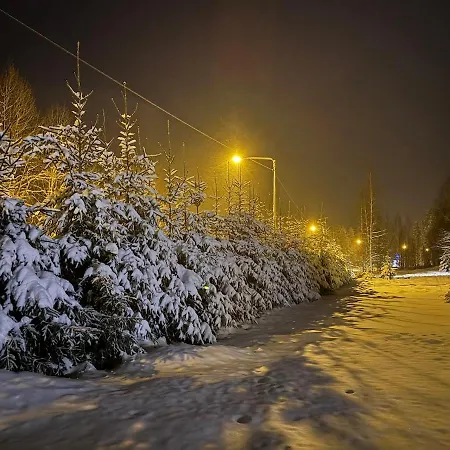 Winterwonderland Privat With Sauna And Big Yard