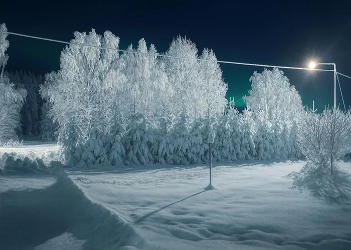 Winterwonderland Privat With Sauna And Big Yard