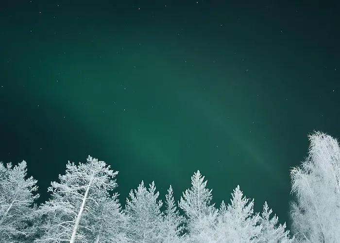 ヴィラ Winterwonderland Privat With Sauna And Big Yard