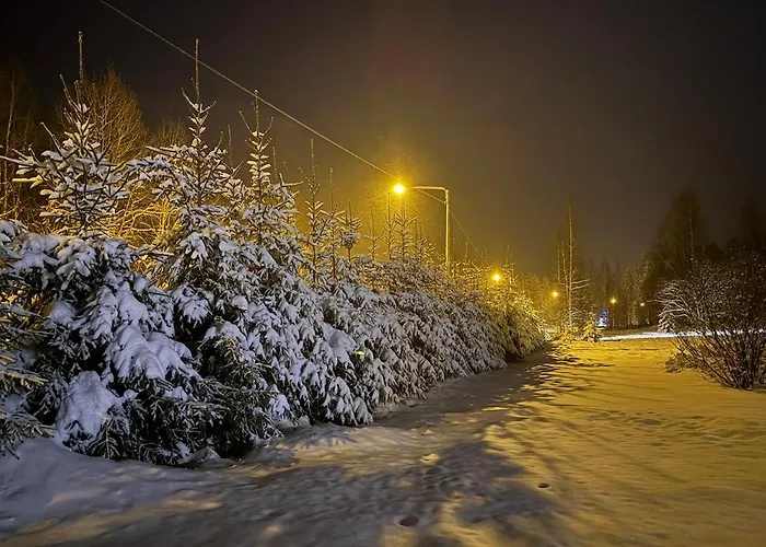 Winterwonderland Privat With Sauna And Big Yard