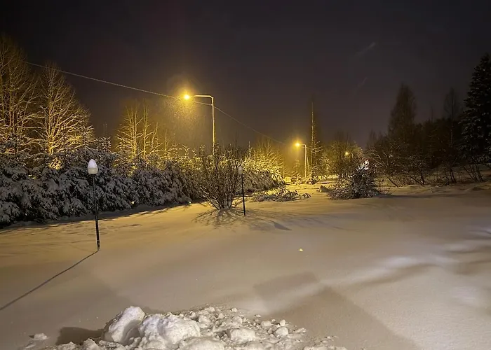 Winterwonderland Privat With Sauna And Big Yard